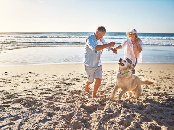 a couple playing with their dog on the beach
