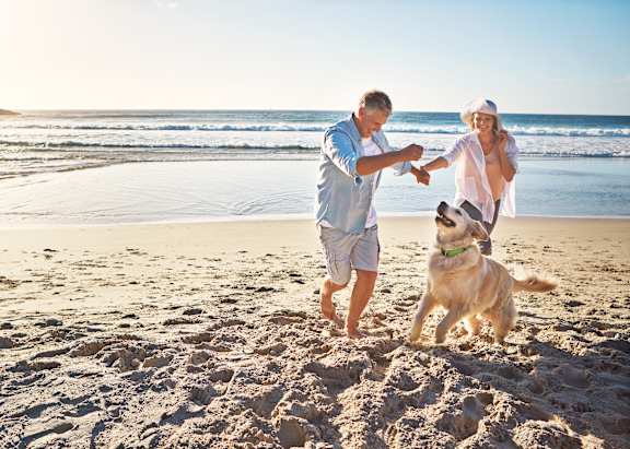 A man and woman are playing with a dog on the beach.