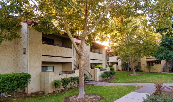 Exterior Building with walkway and Tree