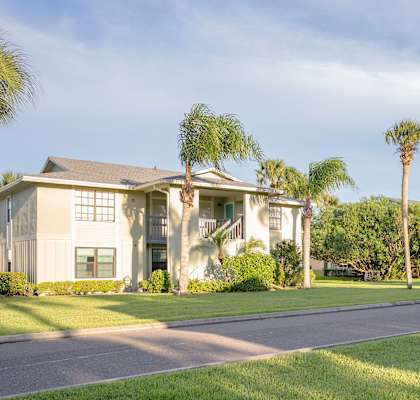 A row of houses with palm trees in front.