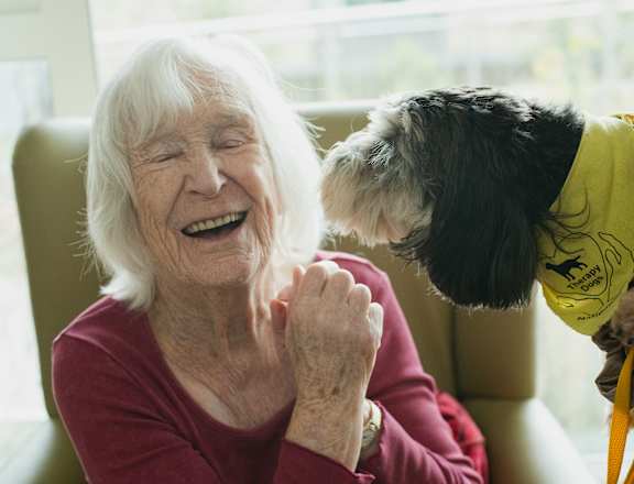 A dog wearing a yellow vest is sniffing a woman's hand.