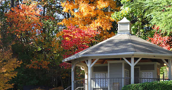 a gazebo in the fall