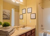 Thumbnail 31 of 40 - Master Bathroom at Stone Ridge Apartment Homes, Alabama