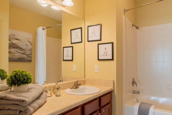 Master Bathroom at Stone Ridge Apartment Homes, Alabama