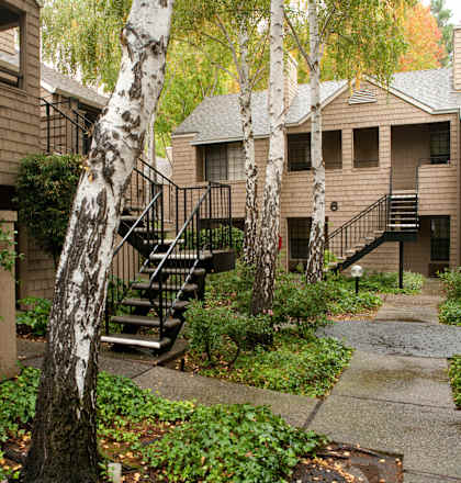 A courtyard with a staircase surrounded by trees.