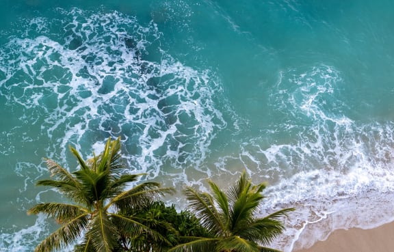 waikiki beach image