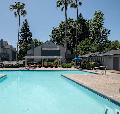 Woodbridge apartments swimming pool surrounded by palm trees and apartment buildings 