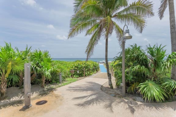 a path to the beach