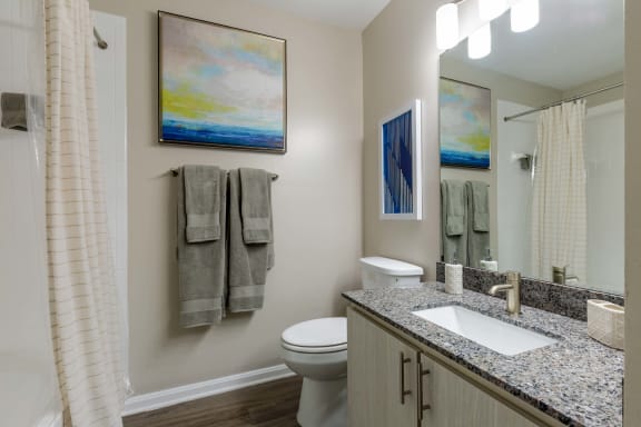 a bathroom with a shower toilet and sink and a mirror