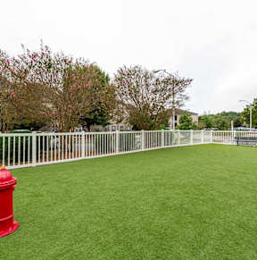A red fire hydrant sits on a green lawn.