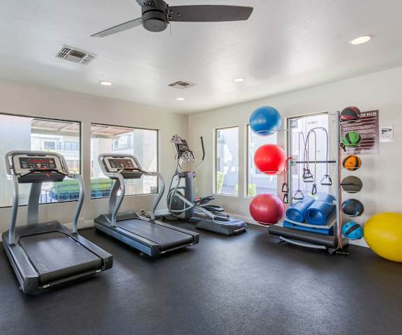 A gym with treadmills, elliptical machines, and exercise balls.
