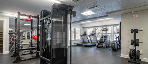 A gym with a variety of equipment including treadmills, weights, and a squat rack.