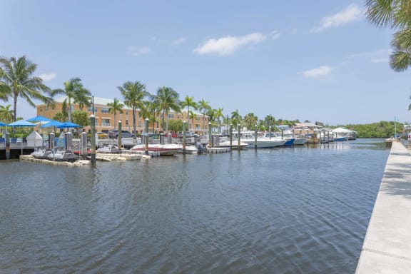 a marina with boats and palm trees in the background