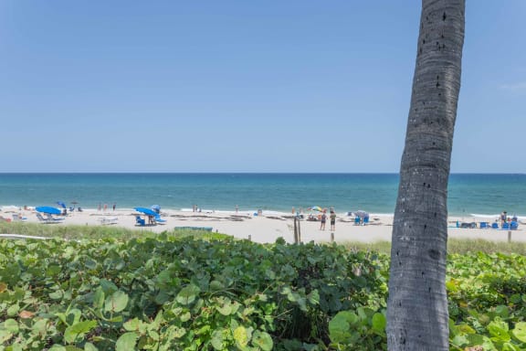 a view of the beach from the boardwalk