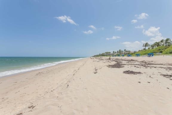 a view of the beach