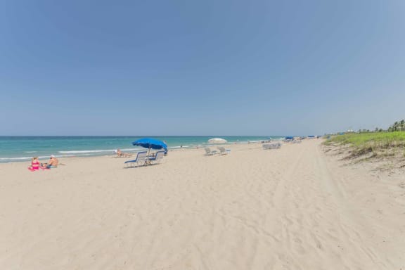 a view of the beach from the sand dunes