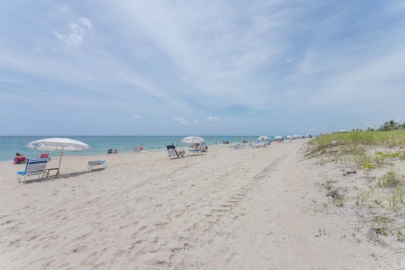 a view of the beach from the sand dunes