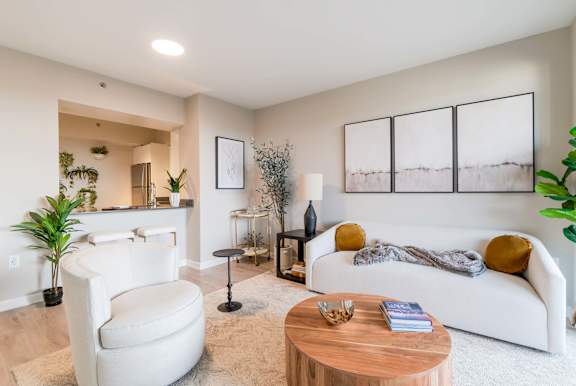 A living room with a white couch, a chair, a coffee table, and a plant.