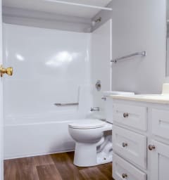 a bathroom with a toilet and a tub and a sink