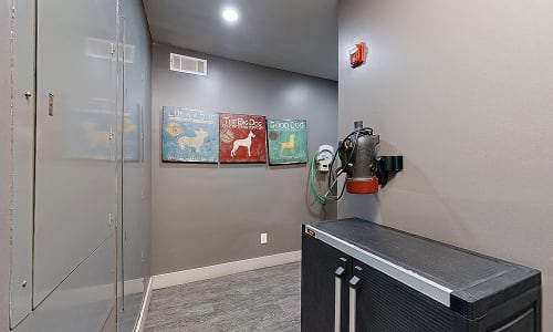 A wall with a sign that says "Tools for the tough" and a picture of a dog.