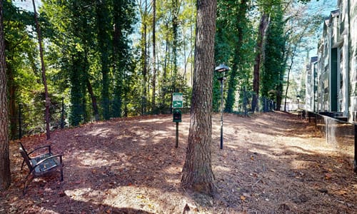 A tree in a forest with a bench under it.