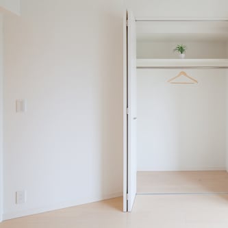 Large closet with open doors