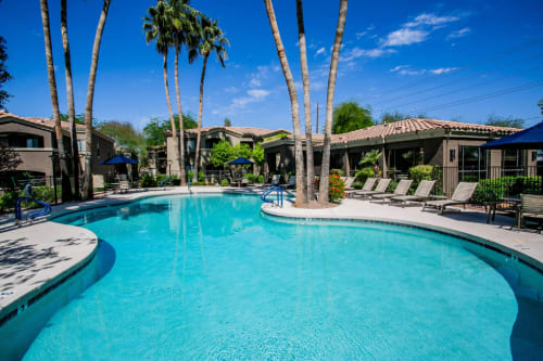 a swimming pool with palm trees in front of a building