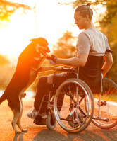 Person in a wheel chair petting a dog