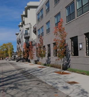 a row of trees with orange and red leaves in front of a building in Broadripple Indiana
