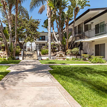 a large yard with grass and palm trees at Pacific Rose, Los Angeles, 90034
