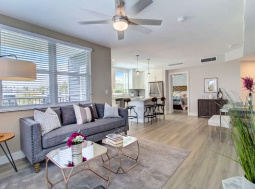 Open-Concept Apartments at Everly Luxury Apartments in Naples FL