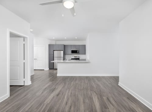 Apartment Interior at Jackson Palms Affordable Apartments in Jacksonville, FL