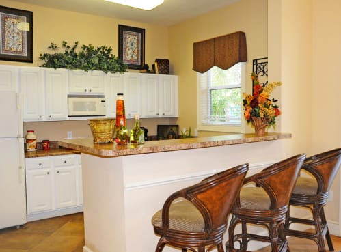 Demo Kitchen at Morgan Creek Affordable Apartments in Tampa FL