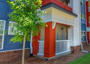 Thumbnail 15 of 17 - A tree is in front of a blue and red building.