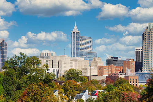 Raleigh image