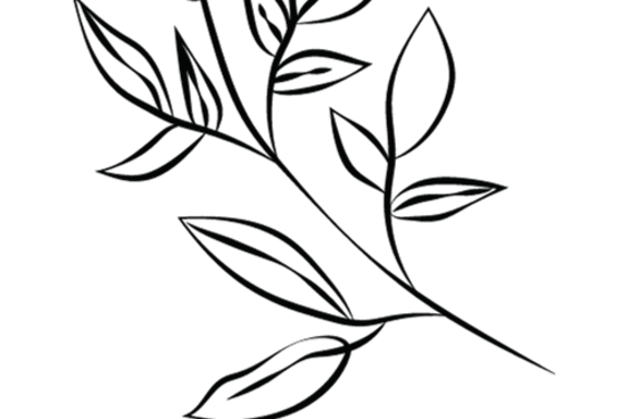 A black and white image of a plant.