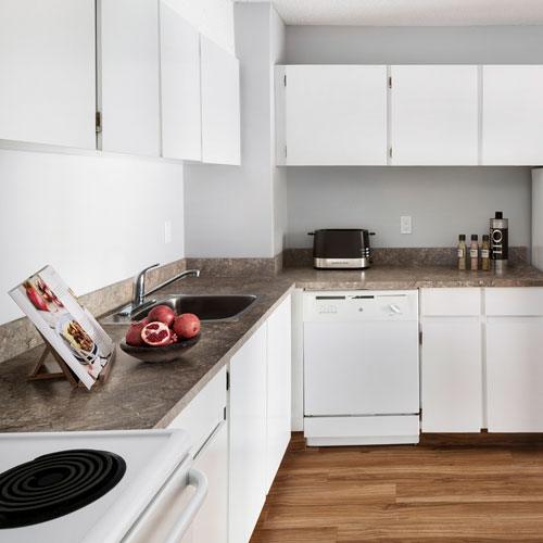 Kitchen with a stove, white cupboards, dishwasher and a sink.