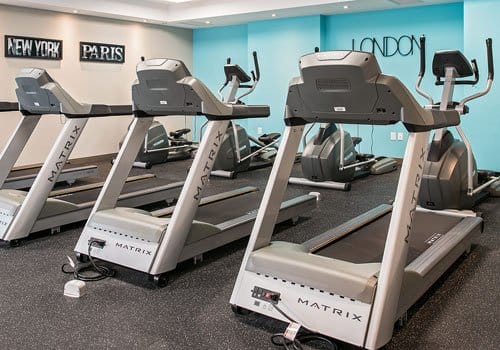 Modern fitness centre well equipped with cardio machines