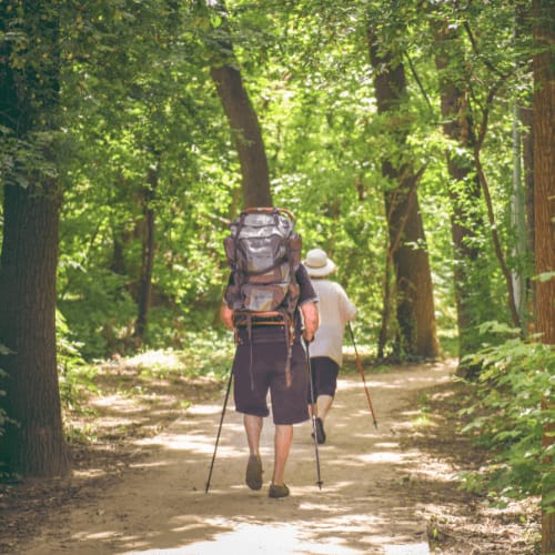 two people walking on a trail in the woods at Harbor Heights 55+ Community, Olympia, 98501
