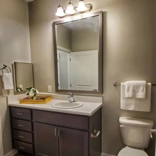 A bathroom with a white toilet and a sink with a mirror above it.