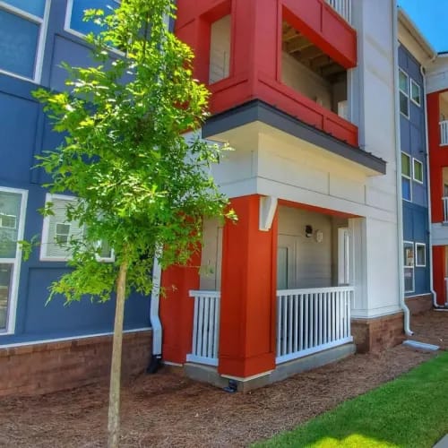 A tree is in front of a blue and red building.