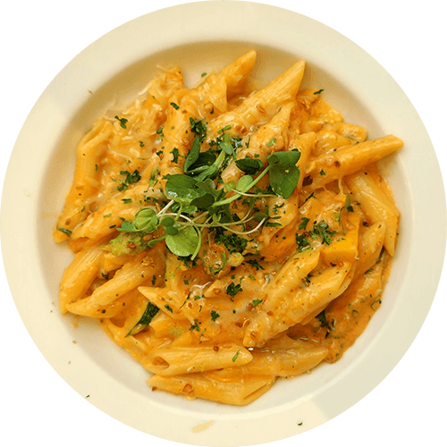 A plate of pasta with cheese sauce and garnished with herbs.