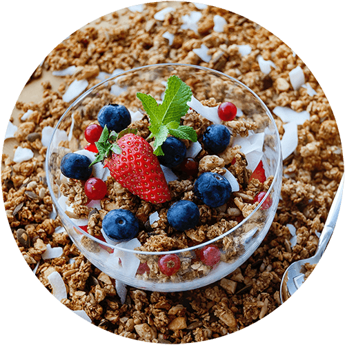 a bowl of granola with berries