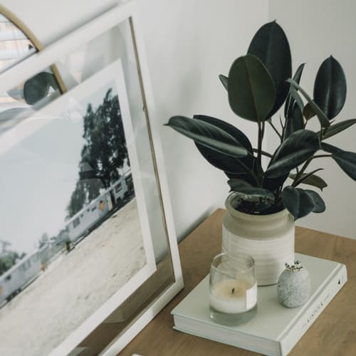 a candle and a plant on a table next to a picture