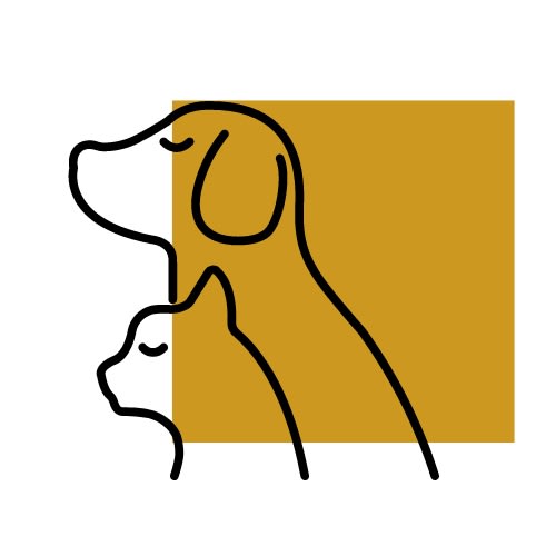 a drawing of a dog with its head turned to the side