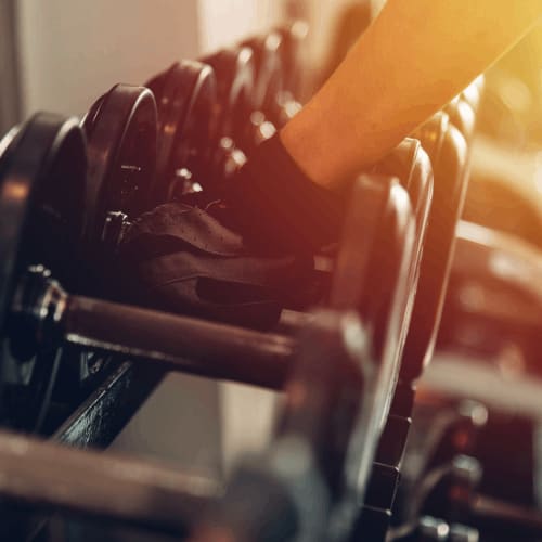 a person working out on a gym machine