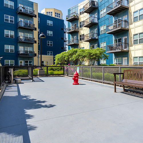 Dog Park at Wheaton 121, Wheaton, Illinois