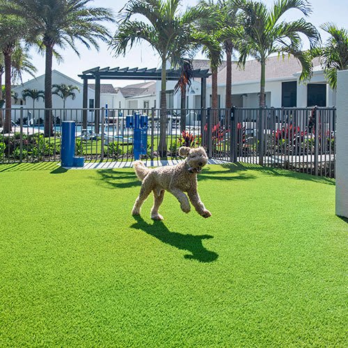 Dog Park at Odyssey, Florida, 33905