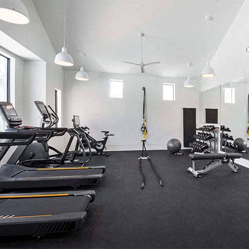 Cardio Machines at Odyssey, Fort Myers, Florida
