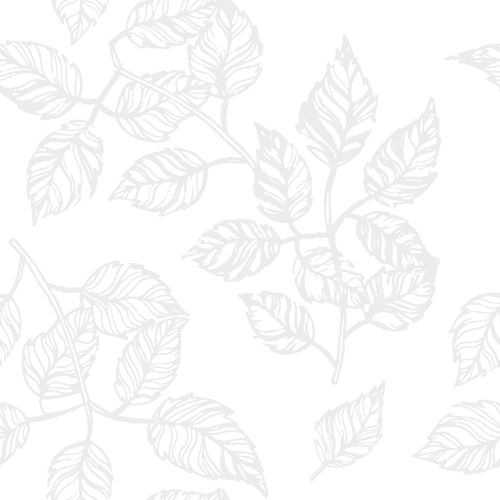 a clear black sky